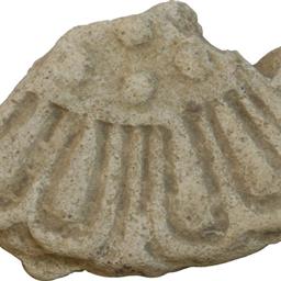 面違鋸歯文縁複弁八葉蓮華文軒丸瓦