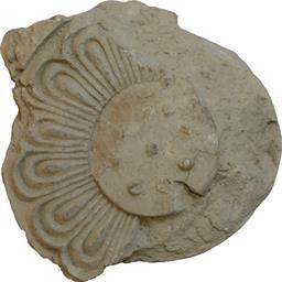 面違鋸歯文縁複弁八葉蓮華文軒丸瓦