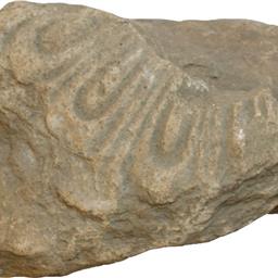 面違鋸歯文縁複弁八葉蓮華文軒丸瓦