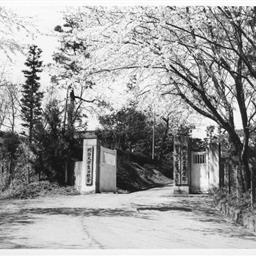 生田キャンパス（1950年代）