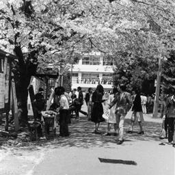 生田キャンパス（1960年代）