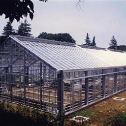 生田キャンパス温室（1990年代）